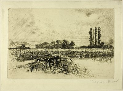 Wodna Łąka autorstwa Francis Seymour Haden