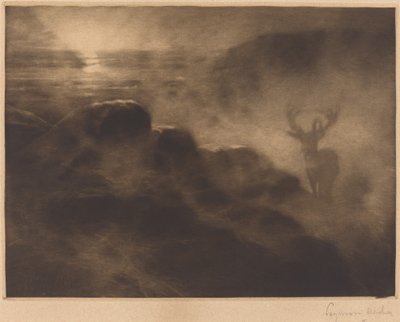 Wczesny ptaszek autorstwa Francis Seymour Haden