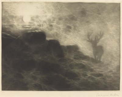 Wczesny ptaszek autorstwa Francis Seymour Haden