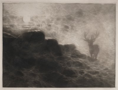 Wczesny ptaszek, 1897. autorstwa Francis Seymour Haden