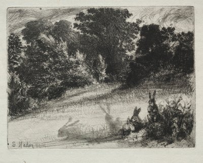 grzebień na dole autorstwa Francis Seymour Haden