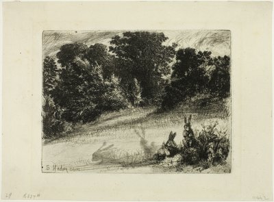 grzebień na dole autorstwa Francis Seymour Haden