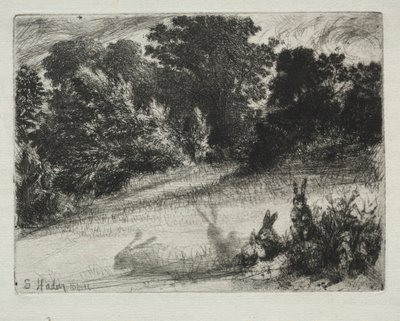 Grzebień na dole. autorstwa Francis Seymour Haden