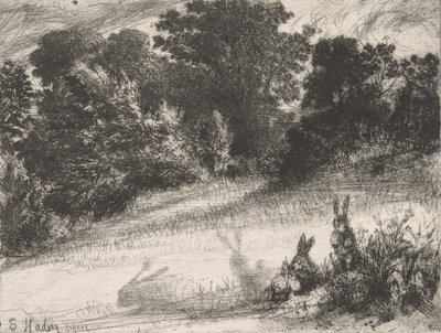 Grzebień dolny, 1860., 1860. autorstwa Francis Seymour Haden