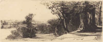 Wczesny poranek – Richmond autorstwa Francis Seymour Haden