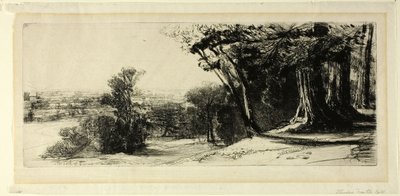 Wczesny poranek, Richmond Park autorstwa Francis Seymour Haden