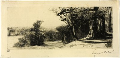 Wczesny poranek, Richmond Park autorstwa Francis Seymour Haden
