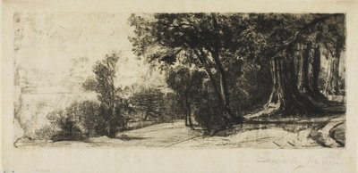 Wczesny poranek, Richmond Park autorstwa Francis Seymour Haden