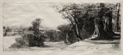 Wcześnie rano, Richmond Park. autorstwa Francis Seymour Haden