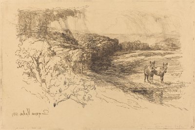Encombe Woods (nr 1) autorstwa Francis Seymour Haden