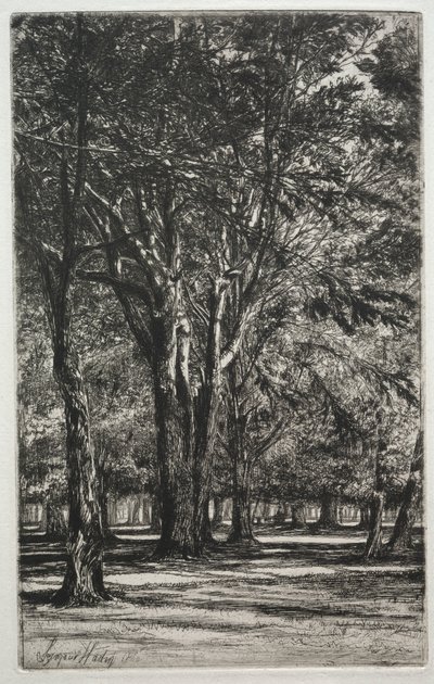 Ogrody Kensington (Duży Talerz) autorstwa Francis Seymour Haden