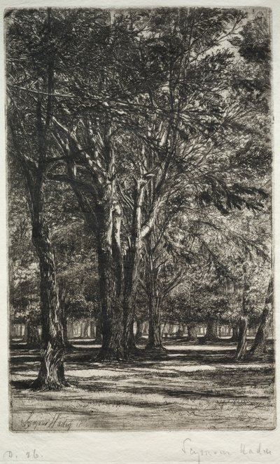 Ogrody Kensington (Większa Płyta) autorstwa Francis Seymour Haden