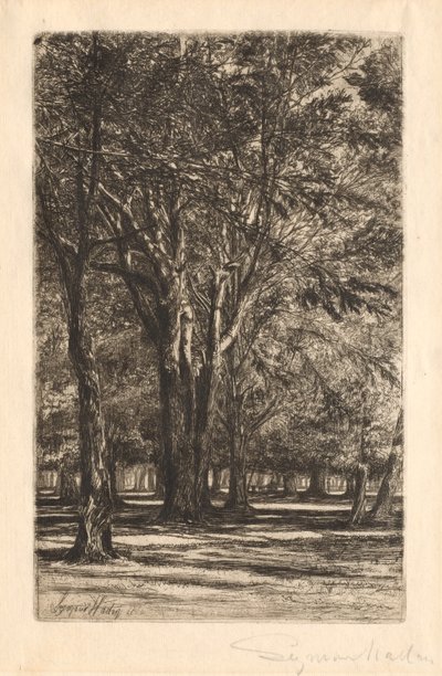 Kensington Gardens, nr 2 (duża płyta) autorstwa Francis Seymour Haden