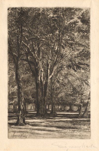 Kensington Gardens, nr 2 Duża płyta, 1860. autorstwa Francis Seymour Haden