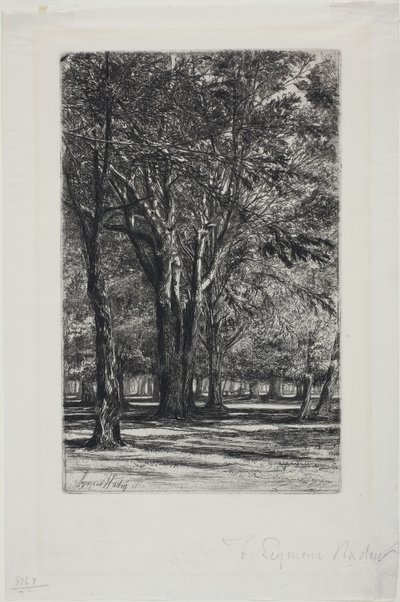 Kensington Gardens, nr II (duża płyta) autorstwa Francis Seymour Haden