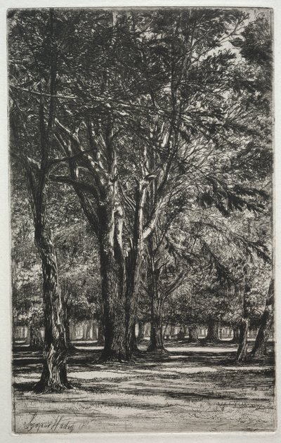 Kensington Gardens Duży talerz, 1860. autorstwa Francis Seymour Haden