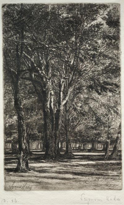 Kensington Gardens Większa płyta, 1860. autorstwa Francis Seymour Haden