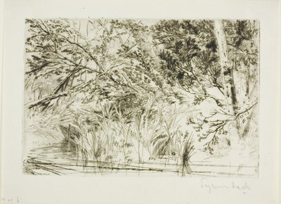 Usta potoku nr II autorstwa Francis Seymour Haden