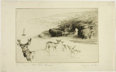 Dwór Newtonów autorstwa Francis Seymour Haden