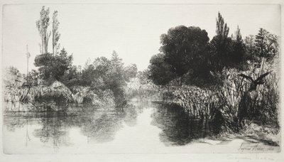 Shere Mill Pond, nr 11 (Duży Talerz) autorstwa Francis Seymour Haden