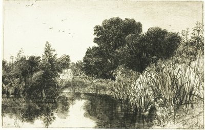 Shere Mill Pond, nr II (duża płyta) autorstwa Francis Seymour Haden
