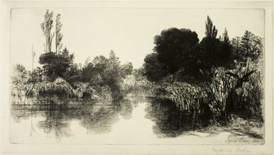 Shere Mill Pond, nr II (duża płyta) autorstwa Francis Seymour Haden