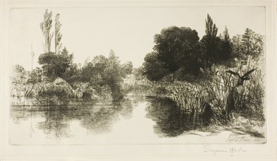 Shere Mill Pond, nr II (duża płyta) autorstwa Francis Seymour Haden