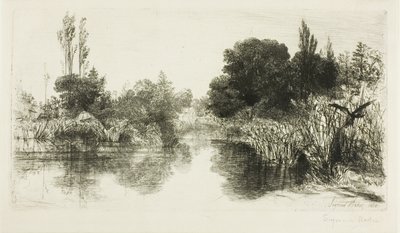 Shere Mill Pond, nr II (duża płyta) autorstwa Francis Seymour Haden