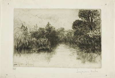 Shere Mill Pond, nr I (mały talerz) autorstwa Francis Seymour Haden
