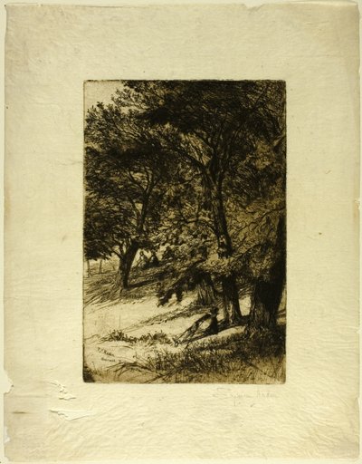 Pod dachem... autorstwa Francis Seymour Haden