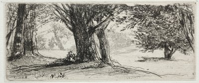 Święte Pole autorstwa Francis Seymour Haden
