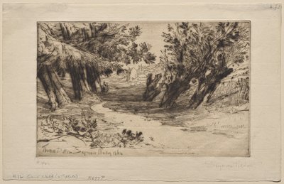 Spacer zakochanych (druga płyta) autorstwa Francis Seymour Haden
