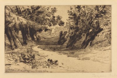 Spacer zakochanych, nr 2 autorstwa Francis Seymour Haden