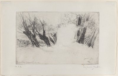 Spacer Zakochanych, nr I, 1864., 1864. autorstwa Francis Seymour Haden