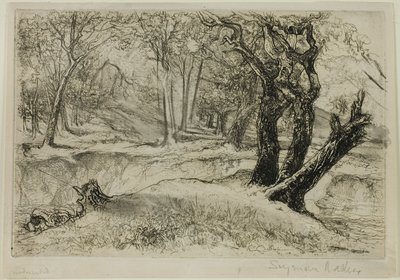 Trzy siostry autorstwa Francis Seymour Haden