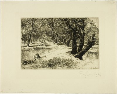 Trzy siostry autorstwa Francis Seymour Haden