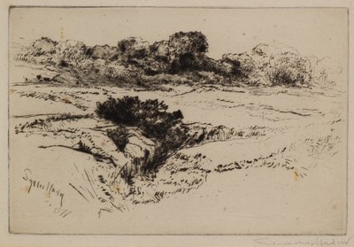 Wzgórze Wiatraka nr 2 autorstwa Francis Seymour Haden