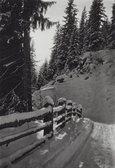 Alpy: Zimowy poranek, niedaleko St Anton (zdjęcie czarno-białe) autorstwa Francis Sydney Smythe