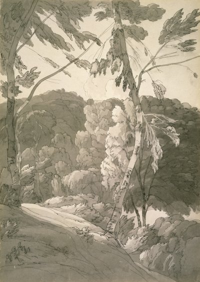 No.1091 Leśny pejzaż (Scena w Indinowle) 1783 (ołówek, długopis i tusz z wash na papierze) autorstwa Francis Towne