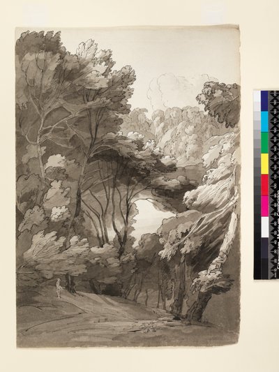 No.1093 Zalesiony krajobraz, 1788 (tusz i pranie na papierze) autorstwa Francis Towne