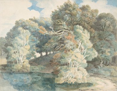 Drzewa nad jeziorem, Peamore Park, niedaleko Exeter, Devon, 1790-1810. autorstwa Francis Towne