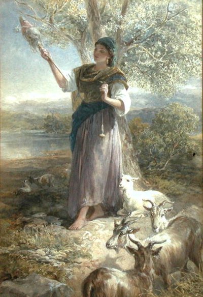 Hiszpański pastuch (akwarela na papierze) autorstwa Francis William Topham