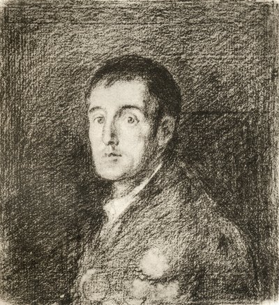 Arthur Wellesley autorstwa Francisco (after) Goya y Lucientes