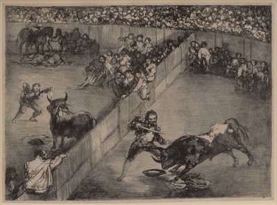 Walka byków w podzielonym pierścieniu autorstwa Francisco de Goya