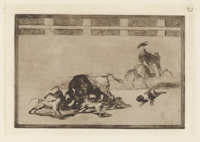 Echan perros al toro (Wypuszczają psy na byka), płyta 25 z La tauromaquia autorstwa Francisco de Goya