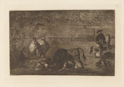 Psy puszczają byka, płyta C z La tauromaquia (wydanie trzecie) autorstwa Francisco de Goya