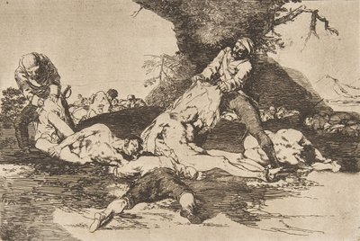 Tablica 16 z The Disasters of War Los Desastres de La Guerra: They ..., 1810 opublikowany 1863. autorstwa Francisco de Goya