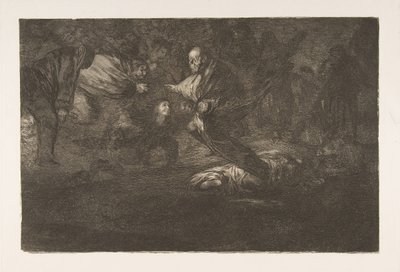 Tablica 18 z „Disparates”: Ptaki ze stada piór razem, ca. 1816-23 opublikowany 1864. autorstwa Francisco de Goya