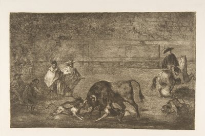 Tabliczka C: Psy wypuszczone na byka, ok. godz. 1816. autorstwa Francisco de Goya