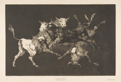 Tabliczka D z Disparates: Głupcy lub Byczki - szaleństwo, ca. 1816-23 opublikowany 1877. autorstwa Francisco de Goya